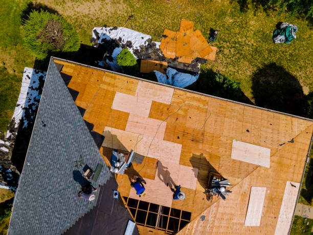 Best Storm Damage Roof Repair  in Morrisonville, NY