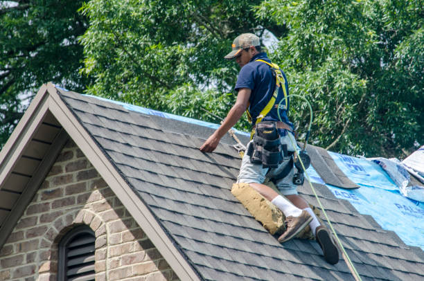 Best Gutter Installation and Roofing  in Morrisonville, NY