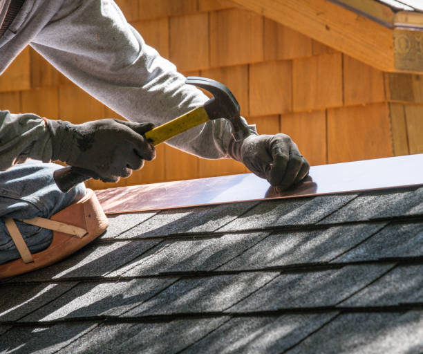 Best Roof Gutter Cleaning  in Morrisonville, NY